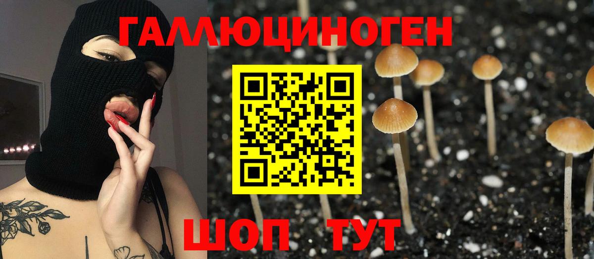 Псилоцибиновые грибы GOLDEN TEACHER  Вход с VPN  Новороссийск 